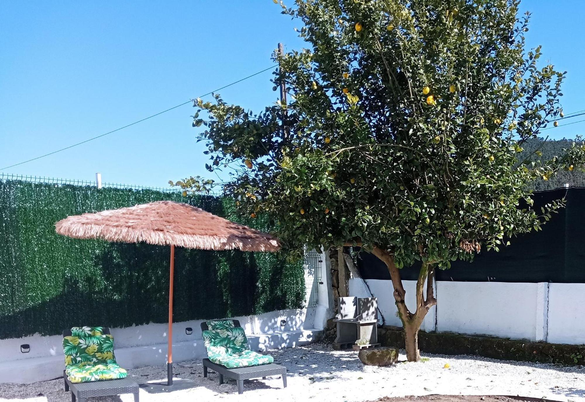 Casa Amelia 1ªp A 50 M Camino De Santiago Padron